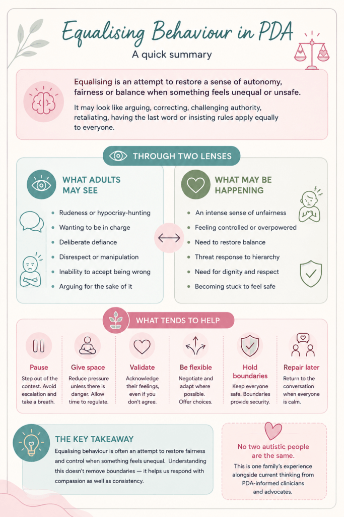 “Do as I Say, Not as I Do”: Understanding Equalising Behaviour in PDA Equalising article visual summary